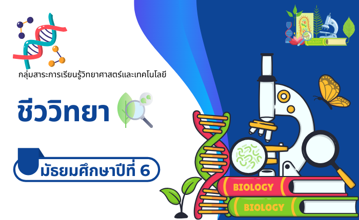 ชีววิทยา มัธยมศึกษาปีที่ 6