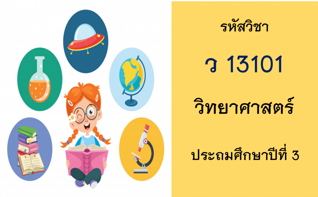 วิทยาศาสตร์ ประถมศึกษาปีที่ 3