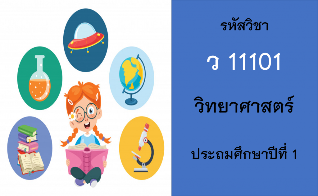 วิทยาศาสตร์ ประถมศึกษาปีที่ 1